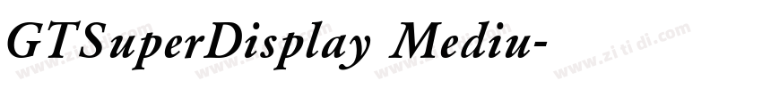 GTSuperDisplay Mediu字体转换